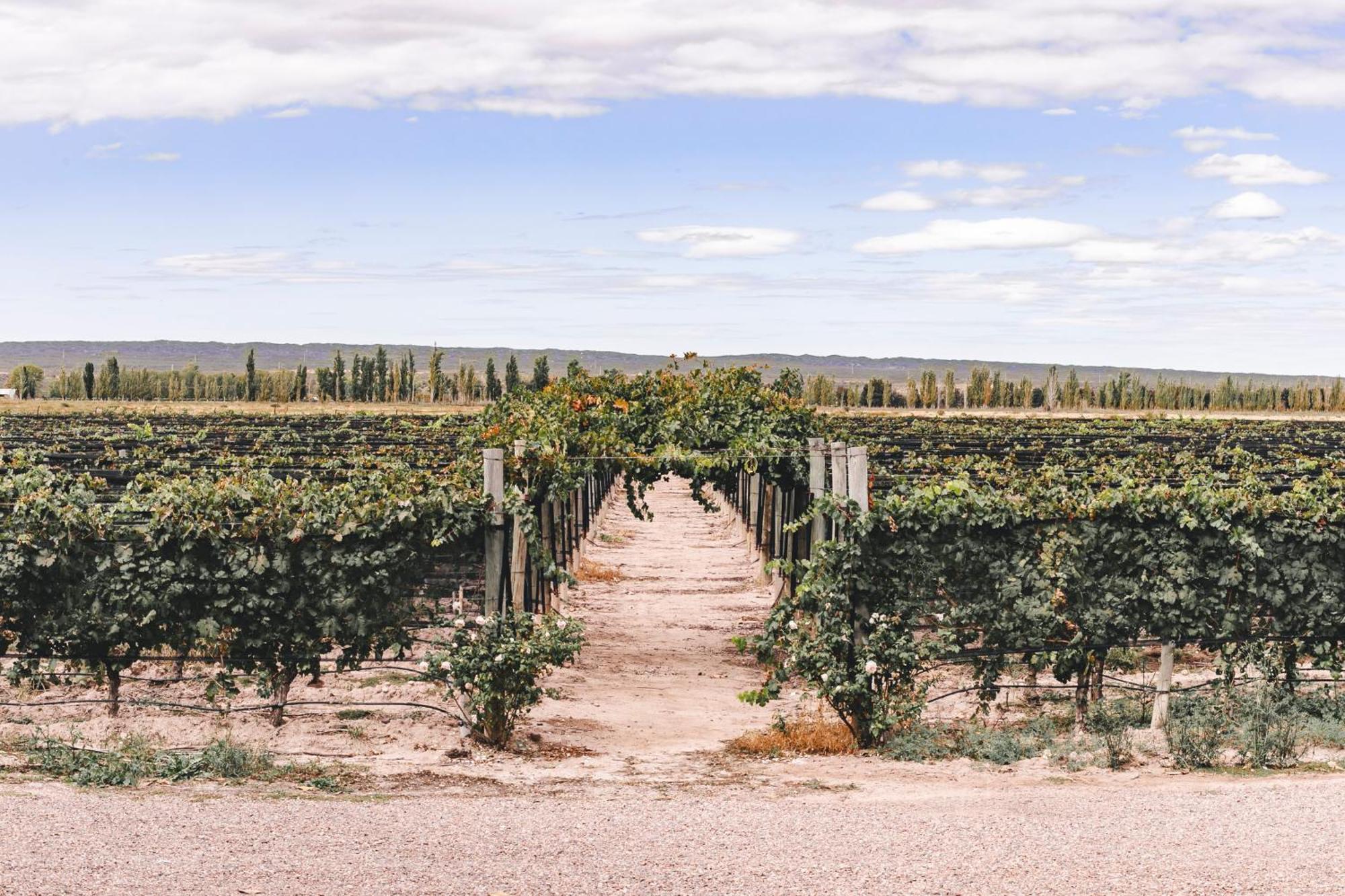 Enlace Wine House Lujan de Cuyo Exterior photo